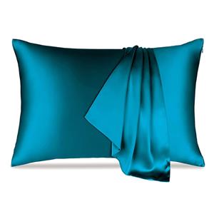 Wholesale 6A Grade luxury Natual Mulberry 100 pure Real Pillowcase Silk Gift 22 momme silk pillowcase