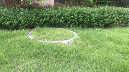 manhole cover in garden