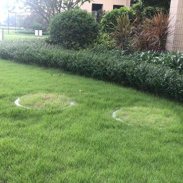 Plastic manhole covers in garden