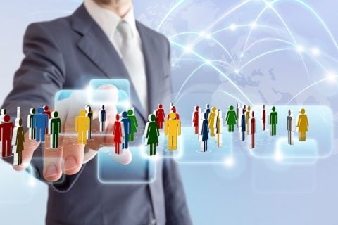 شبكة المبيعات