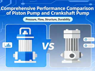 Comprehensive Analysis of Performance Comparison between Plunger Pump and Crankshaft Pump