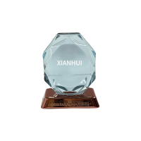 High Quality Metal Acrylic Award