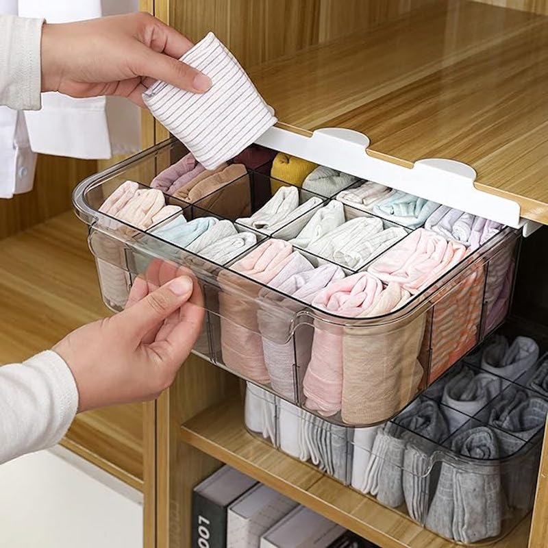 bra organizer for drawer