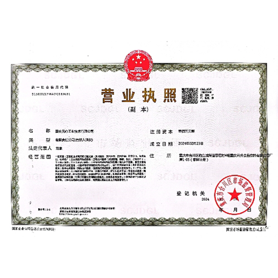 Top ten company business license