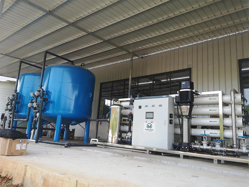 20T/H Pure Water Equipment For Glass Washing