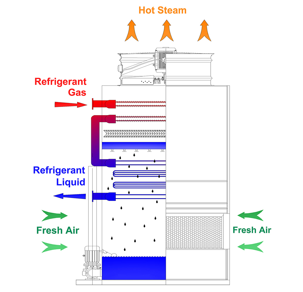 Screw Compressor