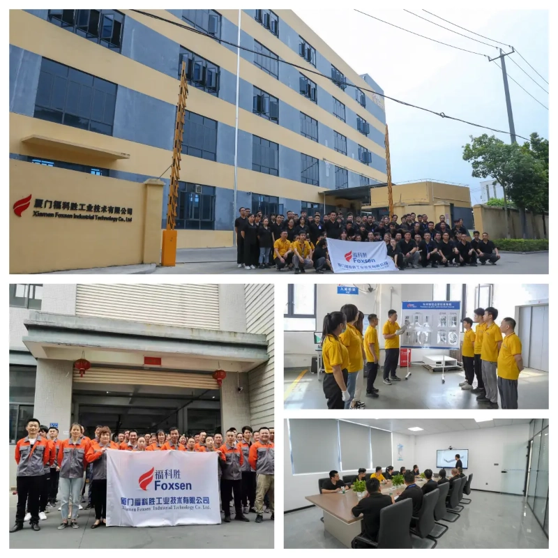 Professional-Team and Organizational Structure