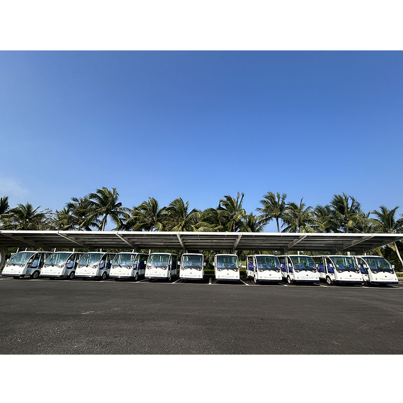 Designated vehicles for international conferences