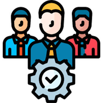 PROFESSIONAL SERVICE