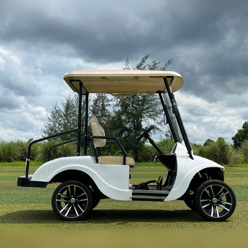 Road Legal Electric Hunting Golf Buggy