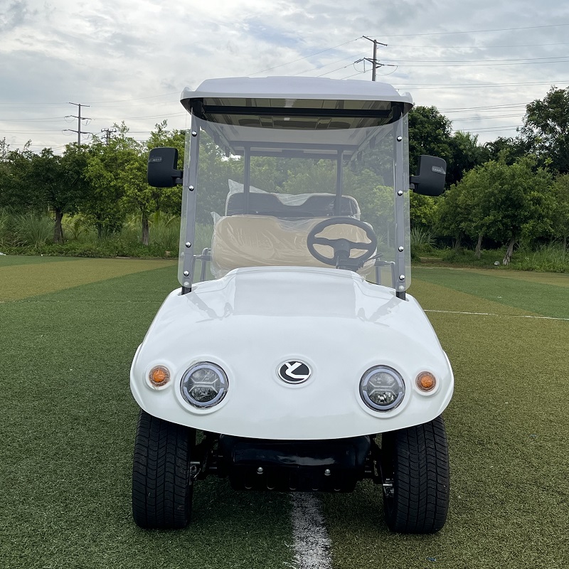Xe điện chơi golf nhỏ gọn 6 người tiên tiến