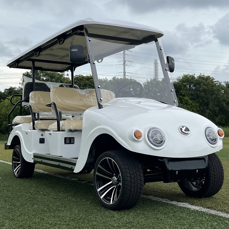 Xe điện chơi golf nhỏ gọn 6 người tiên tiến