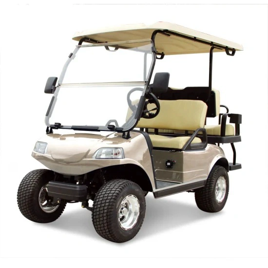 Gelişmiş Mini Go Golf Kart Go Kart
