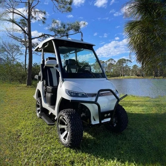 Elektrikli Motorlu Mini Yol Yasal Golf Arabası
