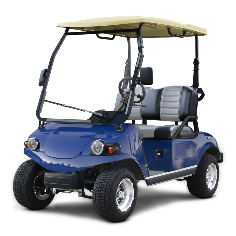 2 Kişilik Elektrikli Buggy E Araba Golf Arabası