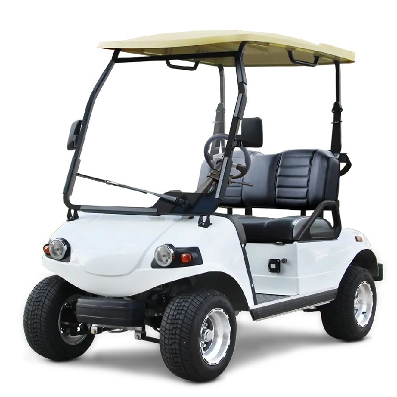2 Kişilik Elektrikli Buggy E Araba Golf Arabası