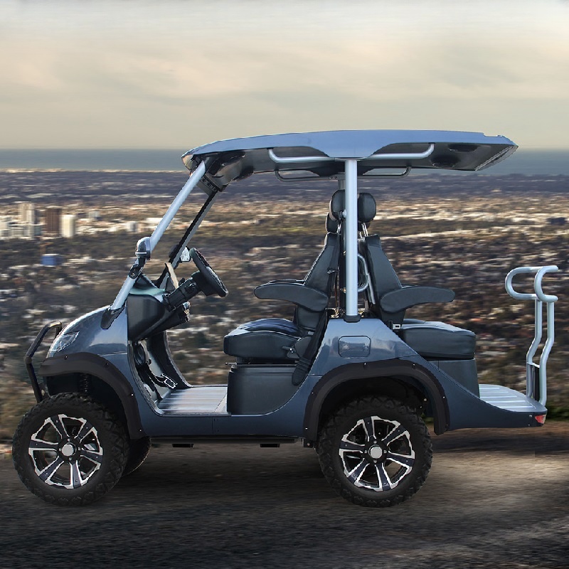 Lsv Golf Caddy Car Golfcart Golfcar