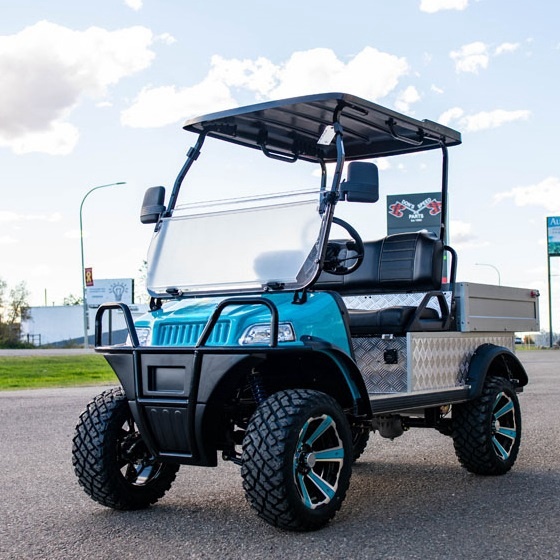 Xe điện 4 bánh Buggy UTV 4x4