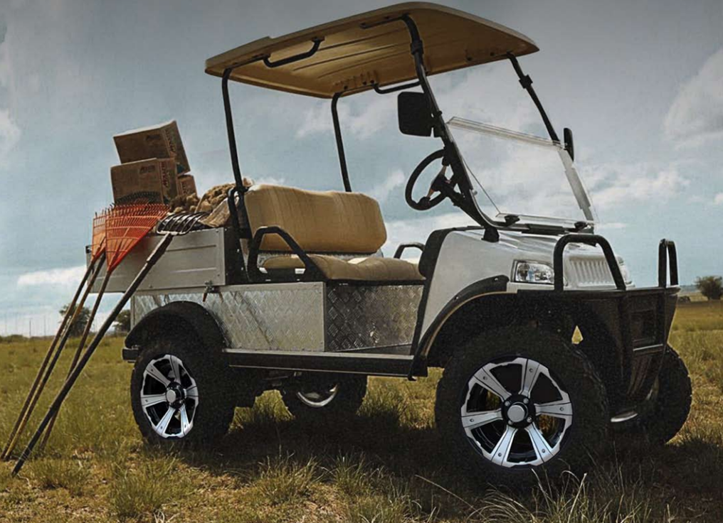 Xe điện 4 bánh Buggy UTV 4x4
