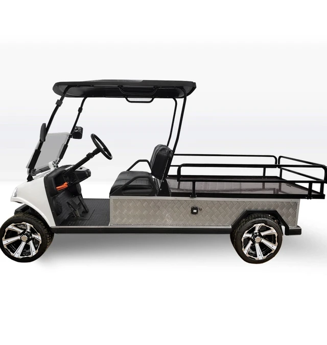 Elektrisk 4x4 UTV sida vid sida golfvagn nyttofordon
