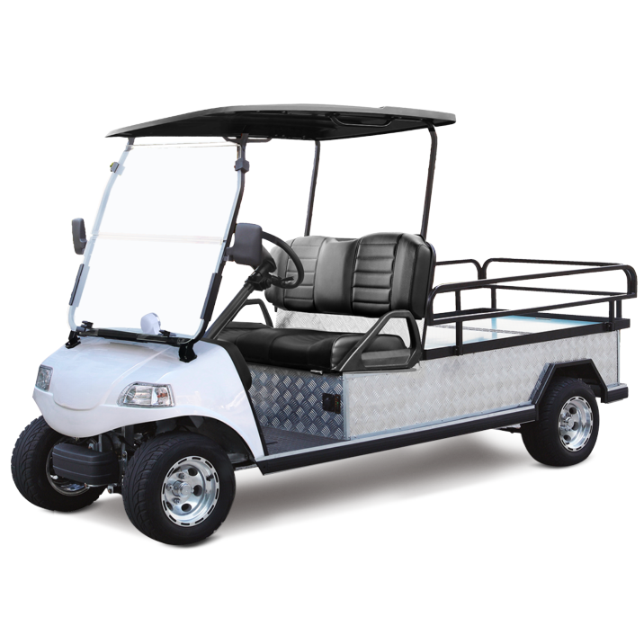 Elektrisk 4x4 UTV sida vid sida golfvagn nyttofordon