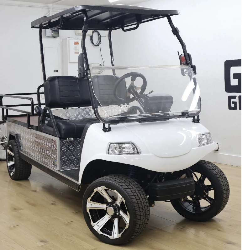 Elektrisk 4x4 UTV sida vid sida golfvagn nyttofordon