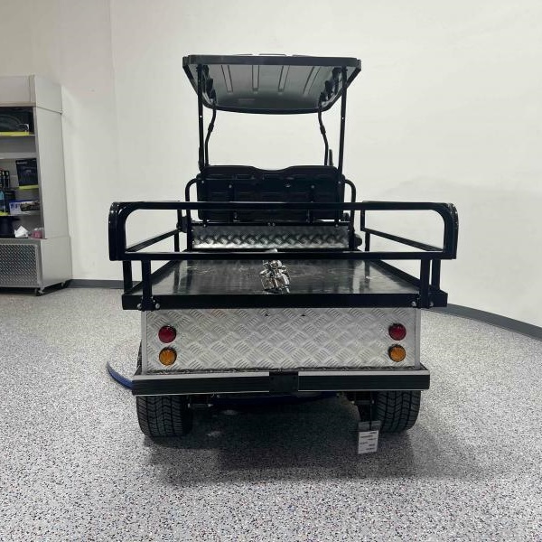 Elektrisk 4x4 UTV sida vid sida golfvagn nyttofordon