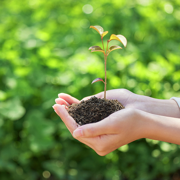 Protecting The Environment