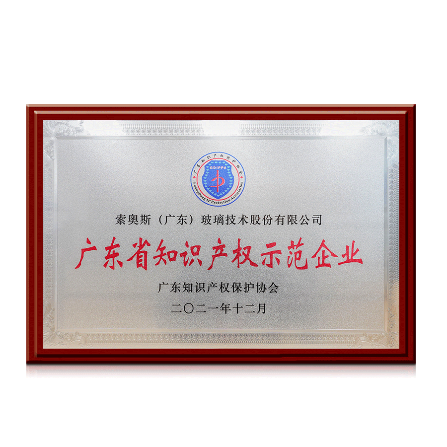 02-Guangdong Intellectual Property Demonstration Enterprise.png