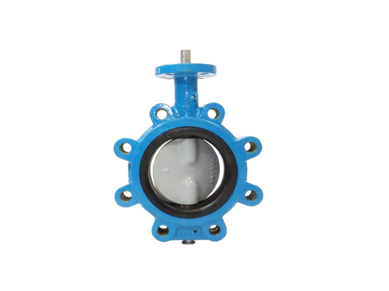 Butterfly valve body