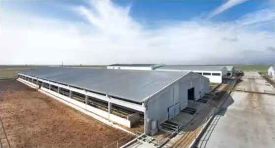 Prefabricated Metal Warehouse