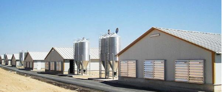 Chicken Coop Chicken Coop