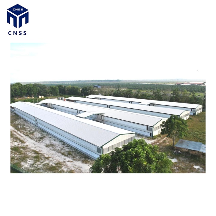 Poultry Chicken Steel Building For Chicken