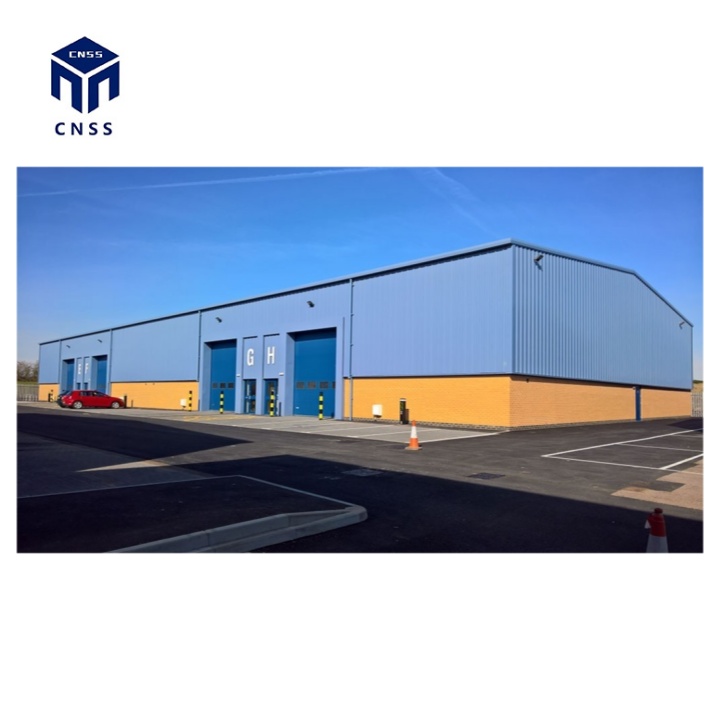 Manufactured Large Steel Building