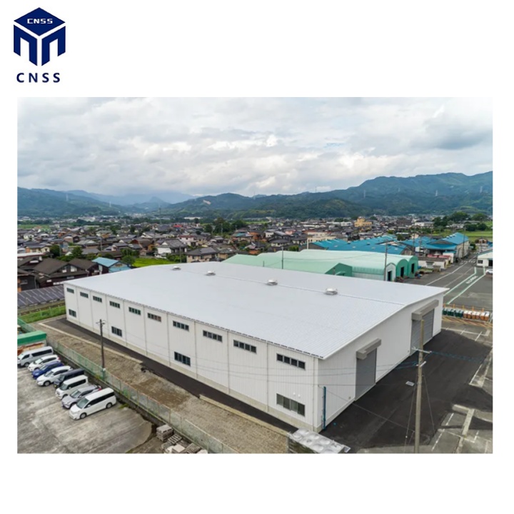 Prefab Warehouse Steel Structure