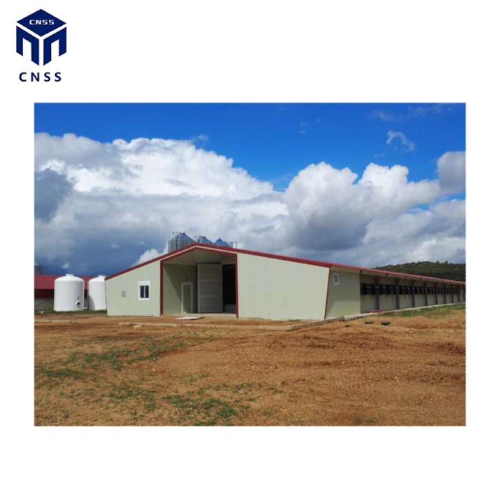 Steel Poultry Chicken Farm