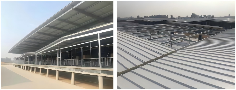 Steel Structure Building