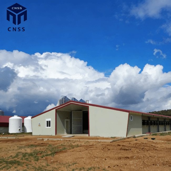 Steel Poultry Chicken Farm