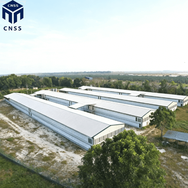 Poultry Chicken Steel Building For Chicken