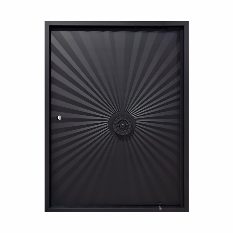 Security Entry Front Iron Pivot Door