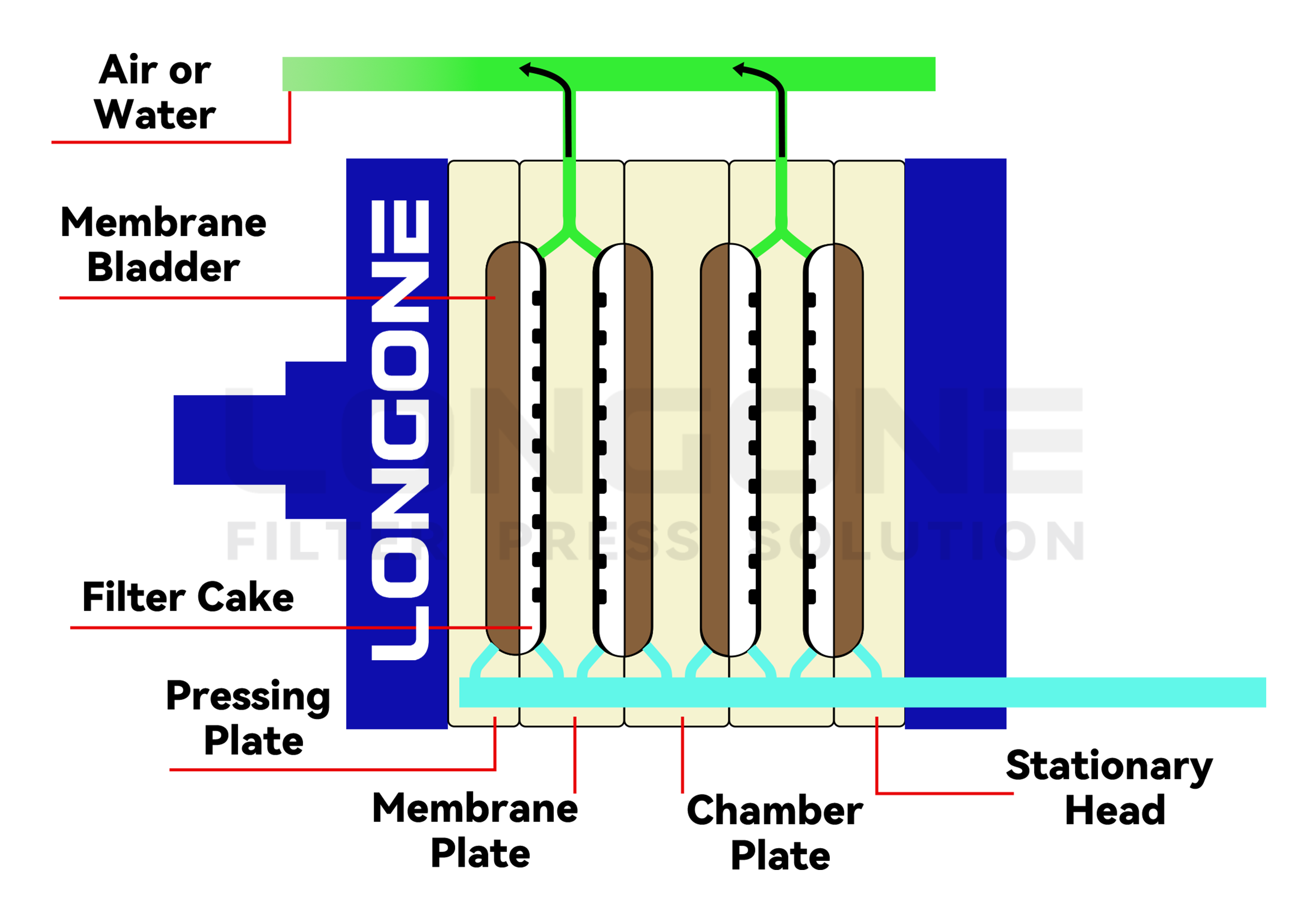 Membrane squeeze filter press