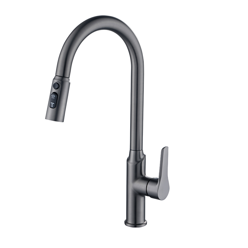 Pull Out Sink Mixer Stainless Steel 304