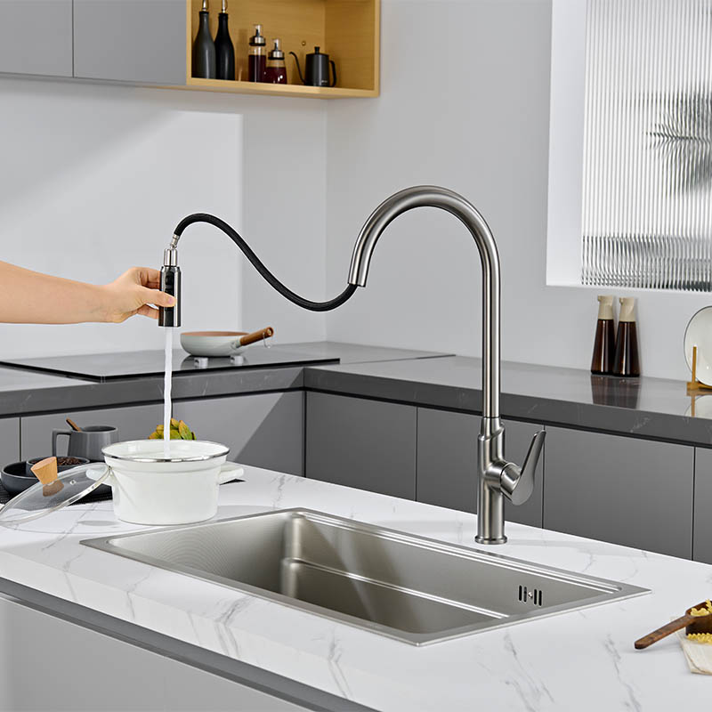 Pull Out Sink Mixer Stainless Steel 304