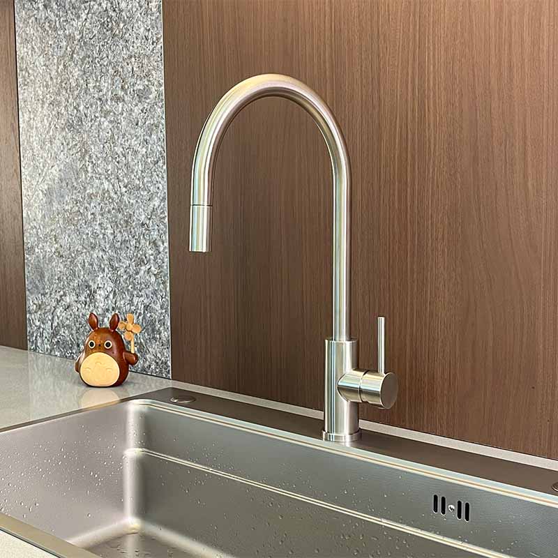 Stainless steel Pull out kitchen mixer