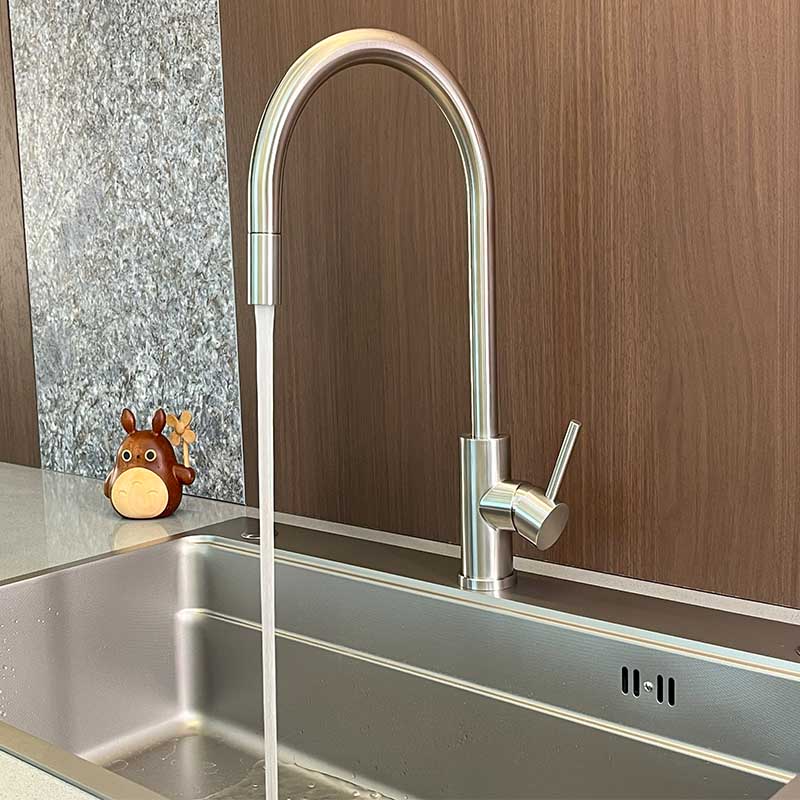 Stainless steel Pull out kitchen mixer