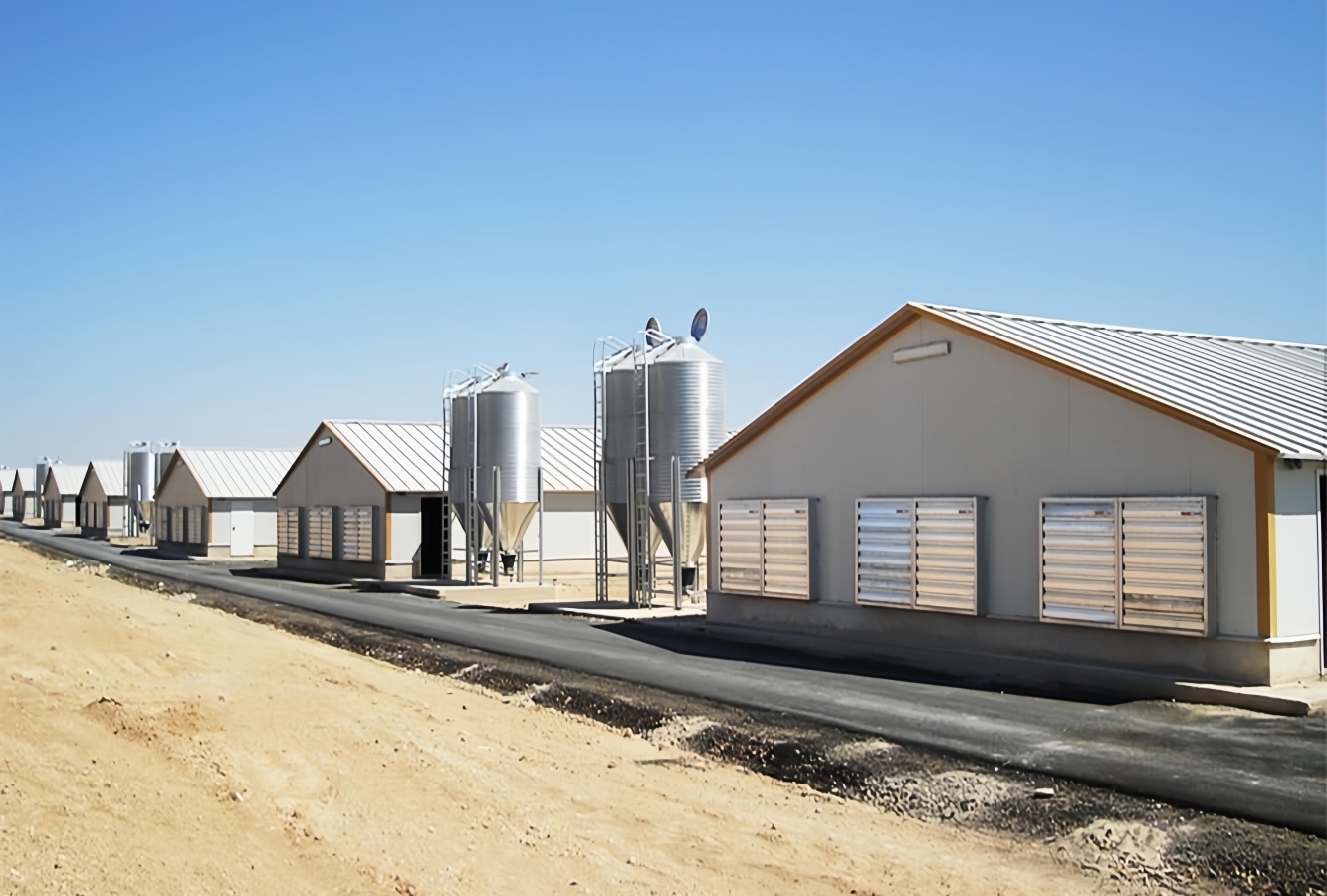 steel structure building