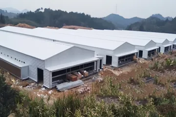 Le poulailler à structure métallique : la naissance d'une nouvelle infrastructure pour l'élevage moderne