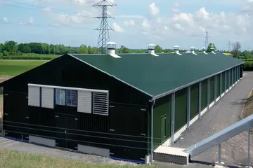 Poulailler à structure métallique : le nouvel avenir des installations pilotes d'élevage de volailles