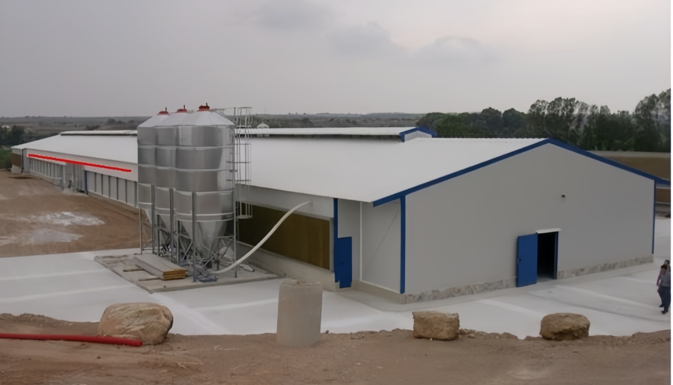 Chicken house prefab steel