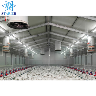 Steel poultry farm shed